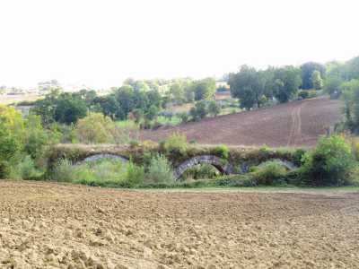 �Di l� - evidenzia Cancellieri - ho proseguito verso Buonalbergo, un paesino di montagna. Gli abitanti del posto sono stati molto gentili: mi hanno indicato la posizione del ponte della Chianche, altro viadotto sul quale � visibile l'antico basolato�